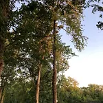O'berges D'astacus 홈스테이 *