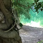 O'berges D'astacus 홈스테이 *