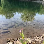 O'berges D'astacus