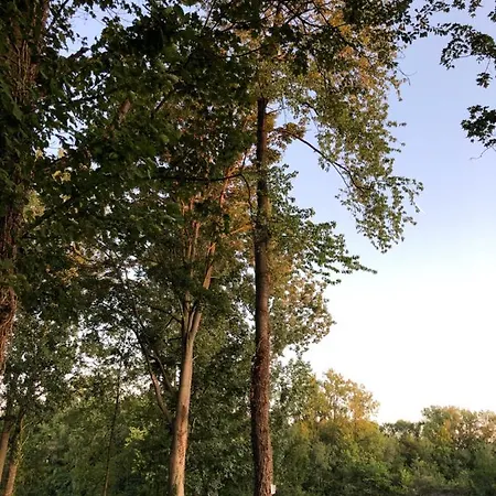 O'berges D'astacus Homestay *