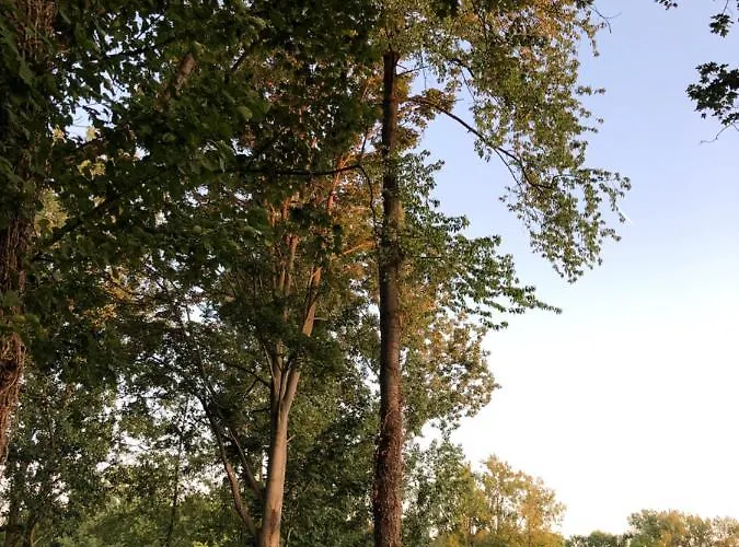 O'berges D'astacus Homestay *