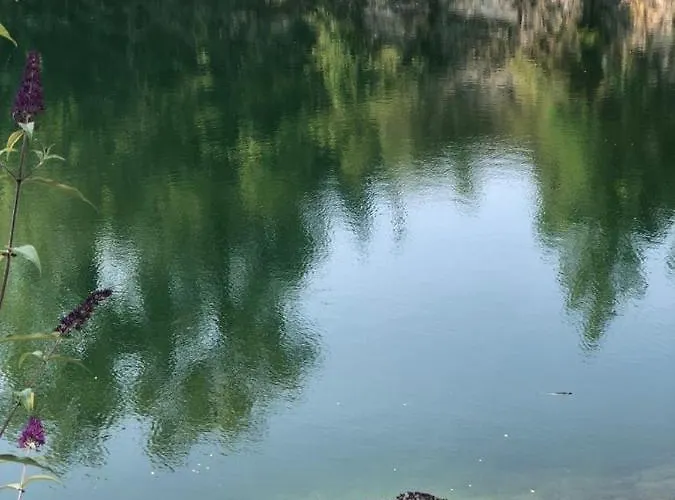 O'berges D'astacus Beloeil